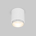 Накладной светильник Elektrostandard 25032/LED белый/серебро Cors a062387