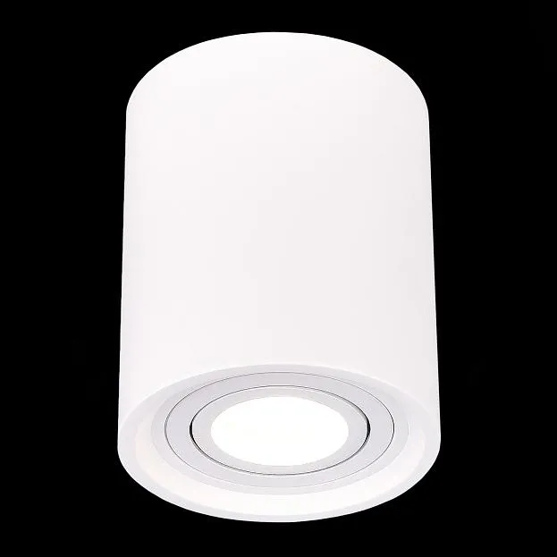 Потолочный светильник ST Luce ST156.502.01 Потолочный светильник ST Luce ST156.502.01