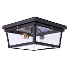 Потолочный светильник Loft IT Loft3110-2C Modern Filament