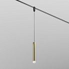 Трековый подвесной светильник Maytoni Technical TR210-1-5W3K-M-BBS Skim