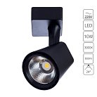 Светильник Потолочный Arte Lamp A1811PL-1BK AMICO