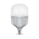 Лампа Gauss 63430 E40 100W 6500K матовая