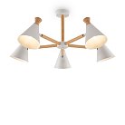 Потолочная люстра Freya FR5169PL-05W Rise