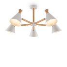 Потолочная люстра Freya FR5169PL-05W Rise