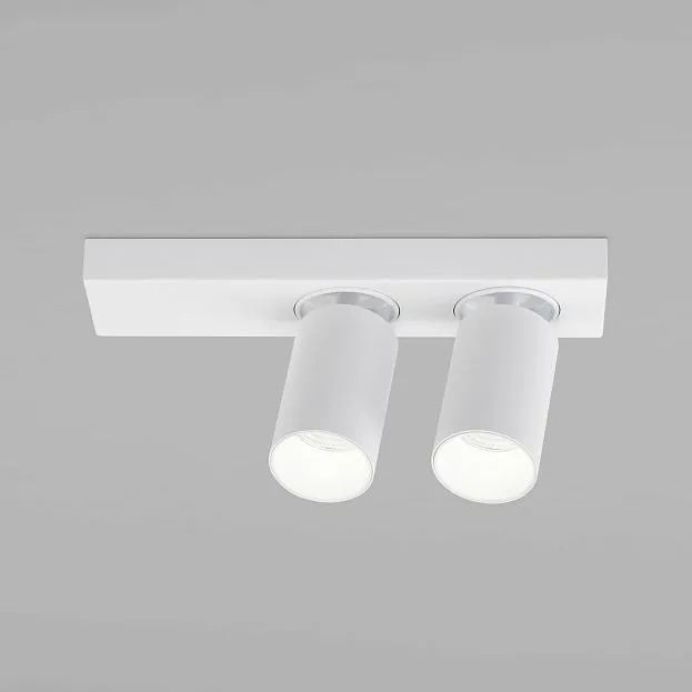 Спот Eurosvet 20139/2 LED белый Flank a059101