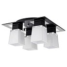 Светильник LUSSOLE LSC-2507-04 LENTE хром