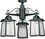 Потолочный светильник уличный Oasis Light 27370A 3 02 V FRANKFURT I