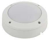 Настенно-потолочный светильник ЭРА SPB-7-12-R