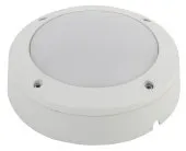 Настенно-потолочный светильник ЭРА SPB-7-12-R