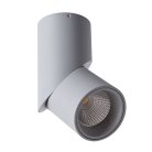 Накладной светильник Arte Lamp Meisu A7717PL-1GY