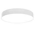 Потолочный светильник Maytoni C032CL-L48W3K Zon