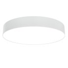 Потолочный светильник Maytoni C032CL-L48W3K Zon