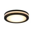 Светильник встраиваемый-накладной Aployt APL.0013.19.05 Nastka