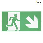 Набор шидьдиков SLV 240008 P-LIGHT 33