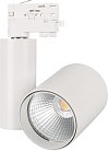 Трековый светильник Arlight 026387 LGD-SHOP-4TR FOOD