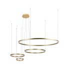 Подвесной светильник Loft IT 10017/4S Ring