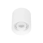 Светильник SP-ACENTO-R95-10W Warm3000 (WH, 20-45 deg, 230V) Arlight 055742