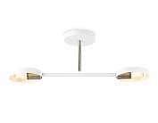 Подвесной светильник Ambrella light TR8222/2 WH/SB