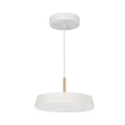 Светильник Arlight 033919(1) Elegant