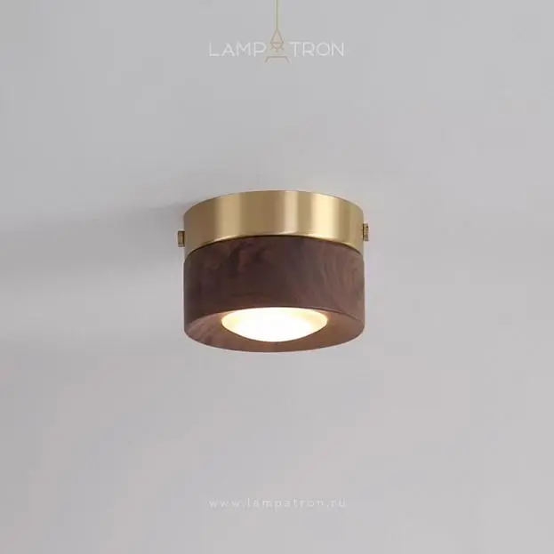 Точечный свет WOODSPOT DARK Накладной вариант Lampatron 8184-22396 Точечный свет WOODSPOT DARK Накладной вариант Lampatron 8184-22396