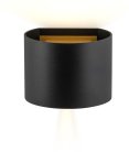 Настенный светильник AM Group AM115-2X3W BK+GD AM11