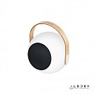 Настольный светильник iLedex Giggle EYS0970-CH WH