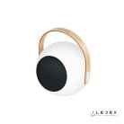 Настольный светильник iLedex Giggle EYS0970-CH WH