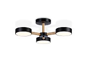 Потолочная люстра Ambrella light FL4823 LINETECH