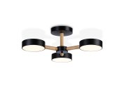 Потолочная люстра Ambrella light FL4823 LINETECH