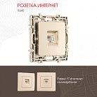 Розетка интернет, RJ45 Arte Milano 217.45-1.shampan am