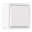 Выключатель одноклавишный проходной (на 2 направления), 10AX 250V Arte Milano 310.32-1.white am