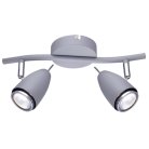 Настенно-потолочный светильнк Arte Lamp A1966AP-2GY Regista