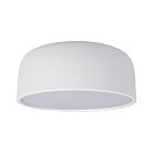 Потолочный светильник Loft IT 10201/350 White Axel