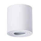 Светильник Потолочный Arte Lamp A1460PL-1WH GALOPIN