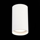 Потолочный светильник ST Luce ST157.532.20