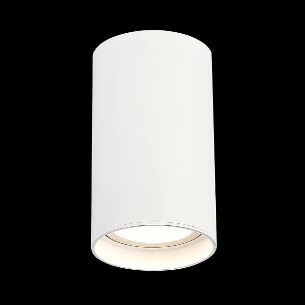 Потолочный светильник ST Luce ST157.532.20 Потолочный светильник ST Luce ST157.532.20