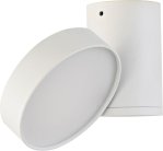 Накладной светильник Donolux DL18811/15W White R MOON