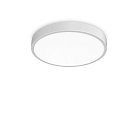 Потолочный светильник Ideal Lux 327693 Ray
