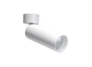 Спот Donolux DL18895R30N1W ST Rollo