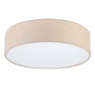 Потолочный светильник LightHall LH022032 Turdan 50