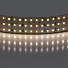 Лента белого свечения 24V Lightstar 423004