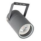 Прожектор уличный Arte Lamp A3303AL-1GY Mistero