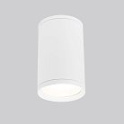 Уличный потолочный светильник Elektrostandard Light 2101 (35128/H) белый a056333