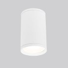 Уличный потолочный светильник Elektrostandard Light 2101 (35128/H) белый a056333