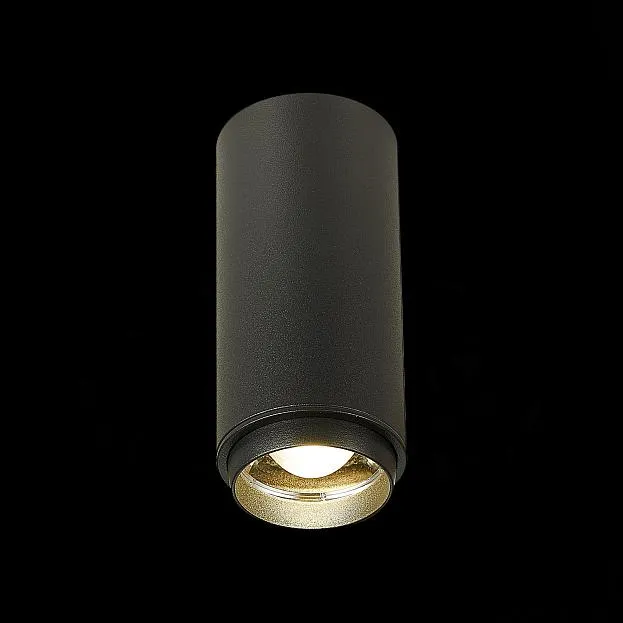Потолочный светильник ST Luce ST600.442.10 Zoom Потолочный светильник ST Luce ST600.442.10 Zoom