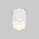 Накладной светильник Elektrostandard 25032/LED белый Cors a062385