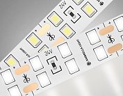 Светодиодная лента двухрядная Ambrella Light GS3602 LED Strip 24V