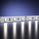 Светодиодная лента Led Strip Maytoni 201003
