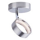 Спот Toplight TL1239Y-01SN Jacklyn