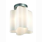 Светильник потолочный ST Luce SL116.502.01 Onde